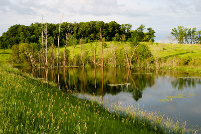 Click here to view at full resolution.