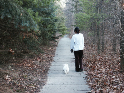 Click here to view at full resolution.