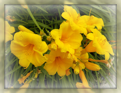 Click here to view at full resolution.