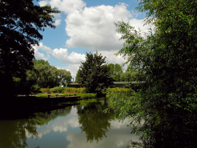 Click here to view at full resolution.