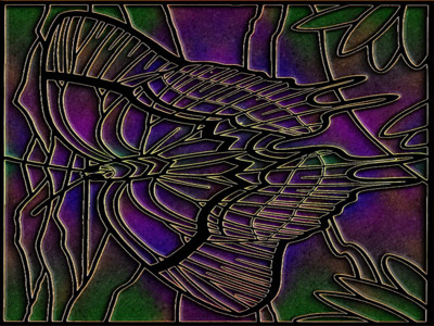 Click here to view at full resolution.