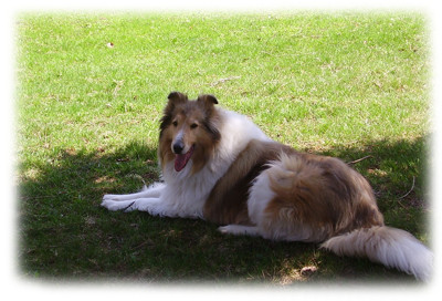 Click here to view at full resolution.