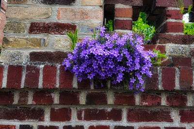 Click here to view at full resolution.