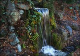 Winter In The Park - The Waterfall by LynEve, photography->waterfalls gallery