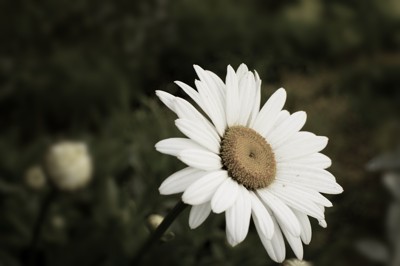 Click here to view at full resolution.