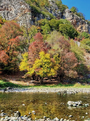 Click here to view at full resolution.