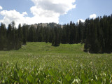 Uintas Meadow by nickp, Photography->Landscape gallery