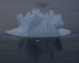 Iceland by samarn, photography->nature gallery