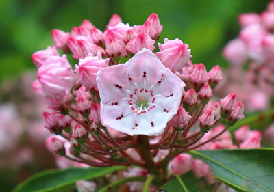 Click here to view at full resolution.