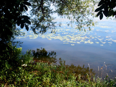 Click here to view at full resolution.