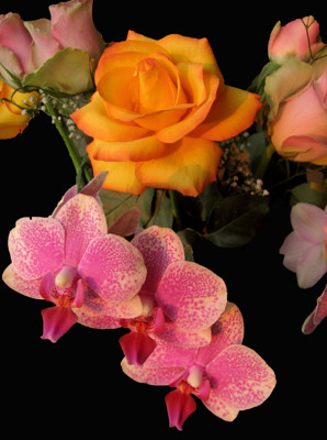 Click here to view at full resolution.