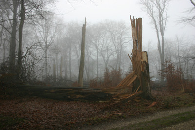 Click here to view at full resolution.