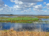 Water World Louisiana Style by PatAndre, photography->water gallery