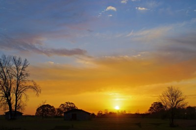 Click here to view at full resolution.