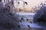 Waiting for spring by Mauntnbeika, Photography->Landscape gallery