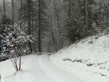 Snowy Lane by Logit, Photography->Nature gallery