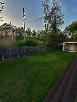 Click here to view at full resolution.
