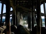 Under the Pier by blanconino, photography->shorelines gallery