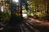 Autumn Walkway by Tomeast, photography->nature gallery