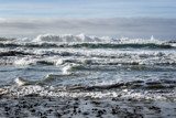 Pacific Surf by luckyshot, photography->shorelines gallery