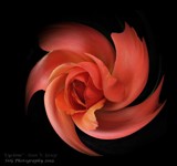 "Cyclone" by Roseman_Stan, photography->manipulation gallery