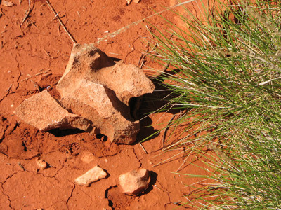 Click here to view at full resolution.