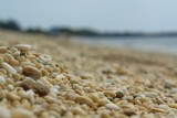 Pebbles on the Mind by imbusion, photography->macro gallery