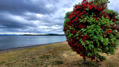 Click here to view at full resolution.