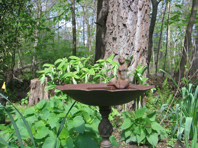 Click here to view at full resolution.