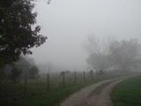 Night Fog by jojomercury, photography->landscape gallery