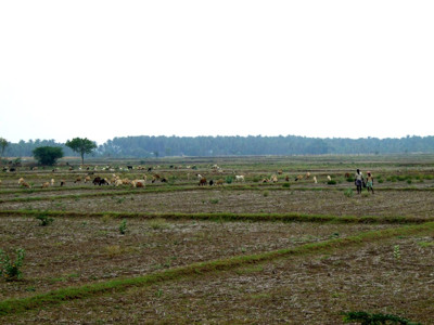 Click here to view at full resolution.