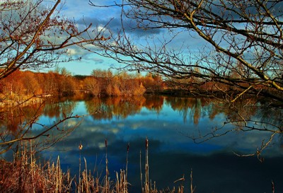 Click here to view at full resolution.