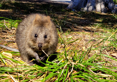 Click here to view at full resolution.