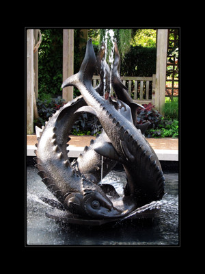 Click here to view at full resolution.