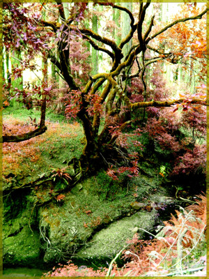 Click here to view at full resolution.