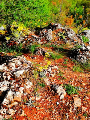 Click here to view at full resolution.