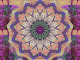 Petals A-Go-Go by Flmngseabass, abstract->fractal gallery