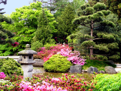 Click here to view at full resolution.