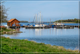 Prepared For 'Riding' The Lake by corngrowth, photography->shorelines gallery