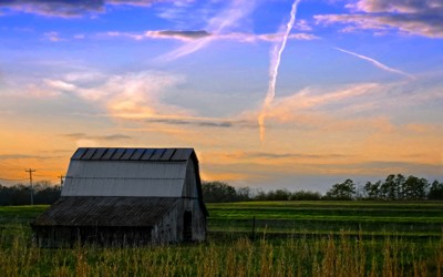 Click here to view at full resolution.