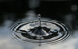 Splash 2 by Tomeast, Photography->Macro gallery