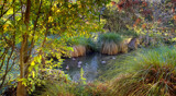 Autumn In The Park #5 by LynEve, photography->landscape gallery