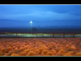 Winter in Wine Country by bigchuck33, Photography->Landscape gallery