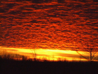 Click here to view at full resolution.