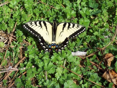 Click here to view at full resolution.