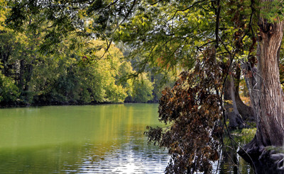 Click here to view at full resolution.