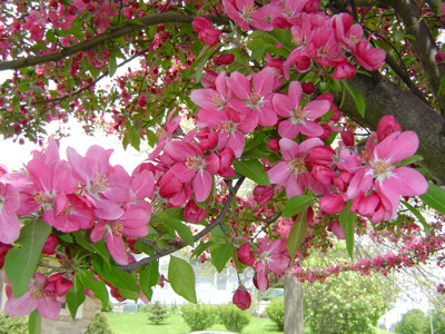 Click here to view at full resolution.
