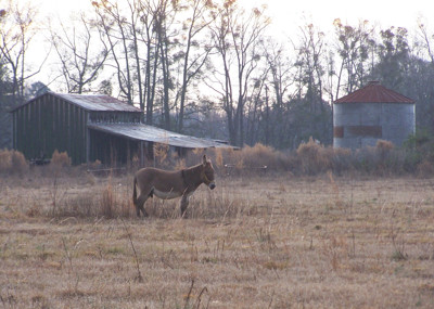 Click here to view at full resolution.