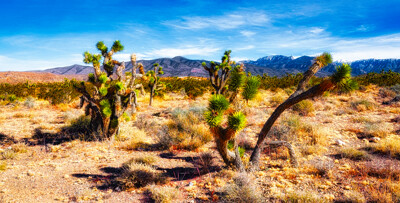 Click here to view at full resolution.