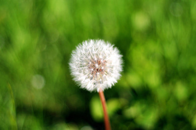 Click here to view at full resolution.